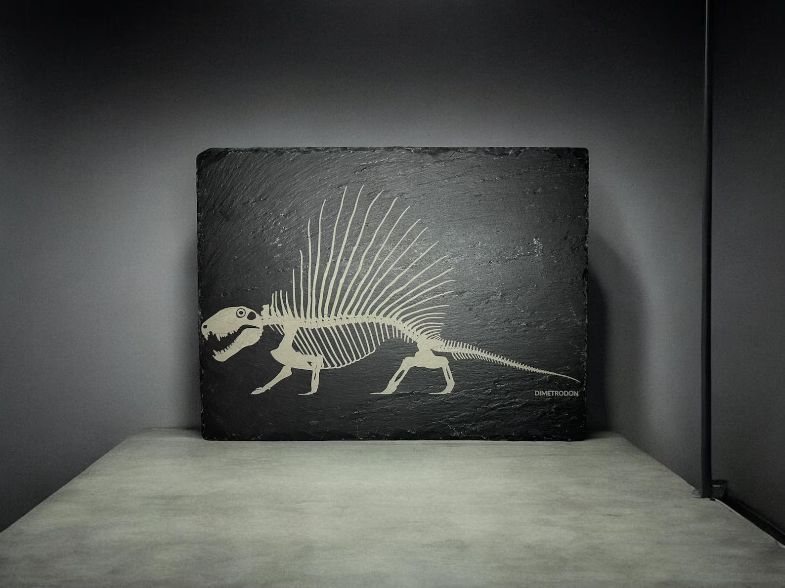 Engraved Dinosaur Fossil Slate Art: Prehistoric Paleontology Decor